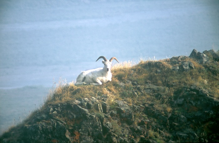 Alaska_113