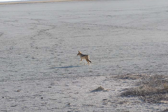 801_0855_DxO