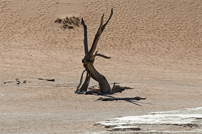 Deadvlei