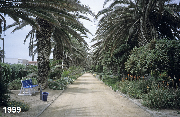 swakoppalme
