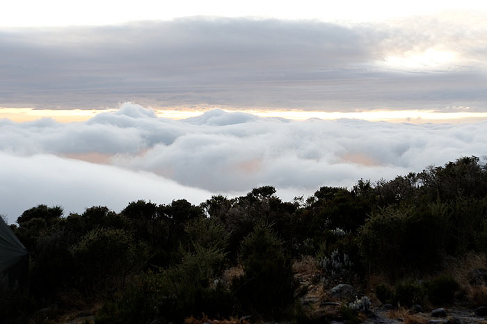 ods_DSC_3650_DxO