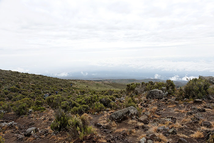ods_DSC_3653_DxO