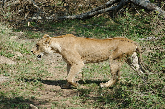 ods_DSC_4191_DxO