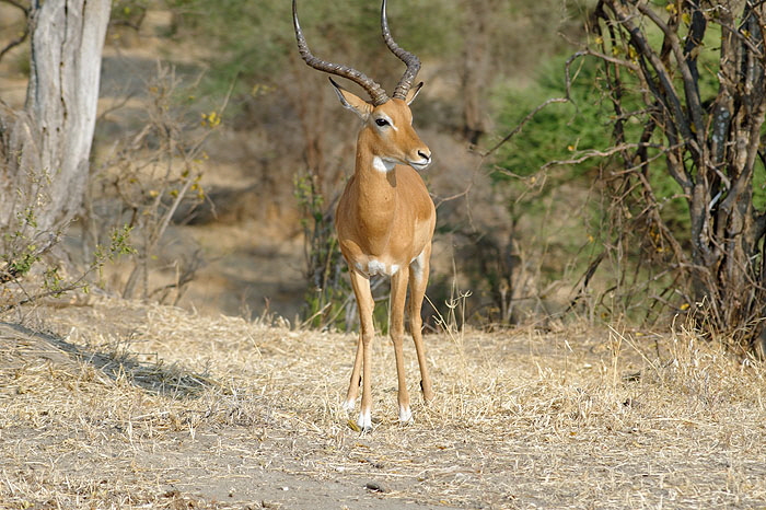 ods_DSC_3837_DxO